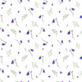 Bluebells, wild oats isolated on white background. Floral seamless pattern with blooming campanula. Watercolor illustration for poster, scrapbooking, invitations, prints, fabric, textile, wrapping.