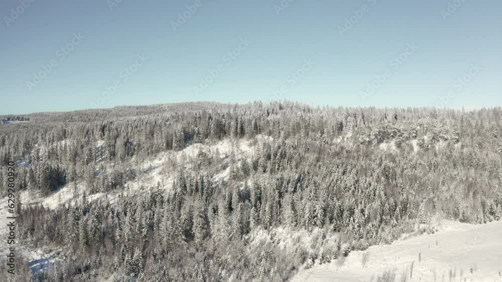 Aerial video of the rocky mountains covered with trees on a snowy sunny day Aerial video of the rocky mountains covered with trees on a snowy sunny day