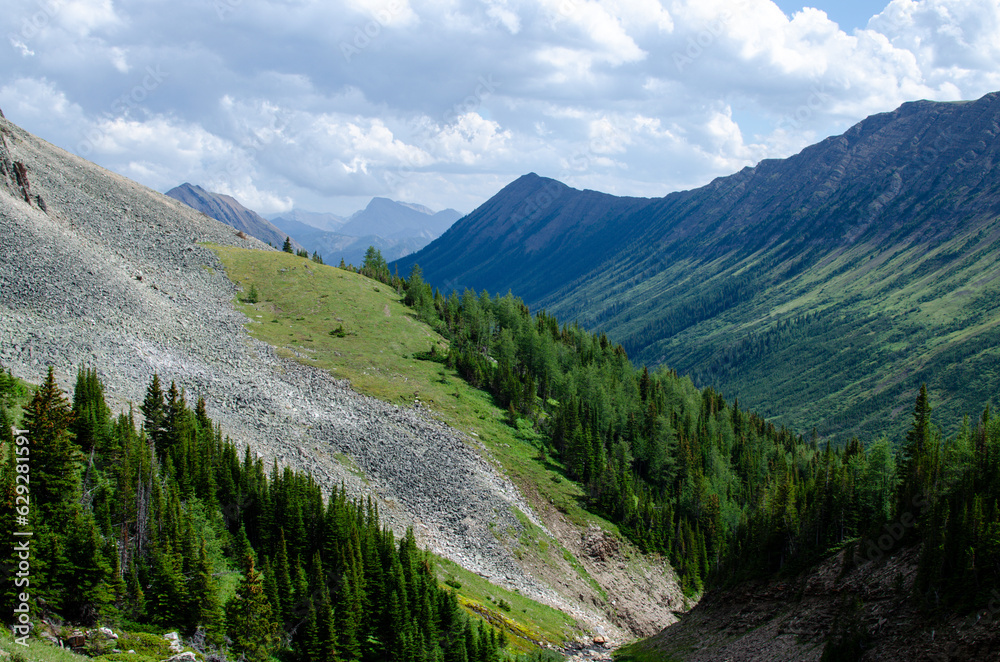 Fototapeta premium park state