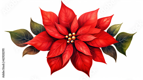 red poinsettia flower on white , isolated