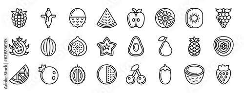set of 24 outline web fruits icons such as raspberries, banana, lychee, watermelon, , lemon, kiwi vector icons for report, presentation, diagram, web design, mobile app