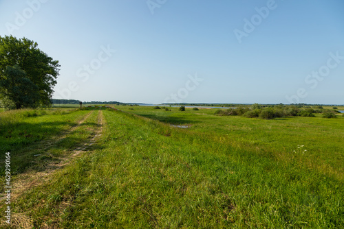 Meadows in the Vistula river valley. Zulawy, Poland.