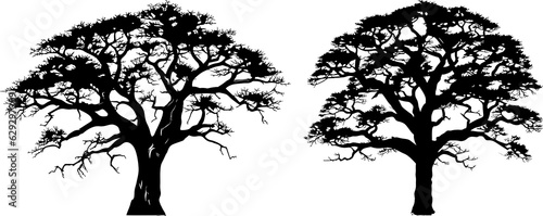 Fényképezés Baobab Tree Detail Silhouette Art Illustration