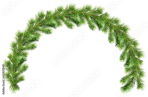 Green Christmas pine twig in an arch arrangement isolated on white or transparent background