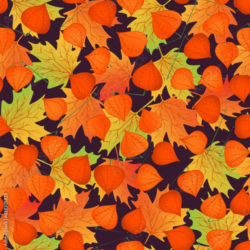 Seamless pattern with hand drawn branch with physalis and maple leaves.