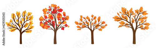 Colorful Autumn Trees with Lush Foliage and Trunk Vector Set