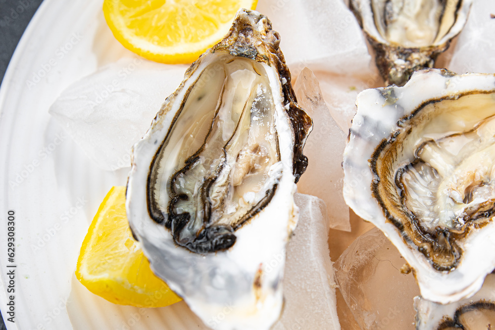 oysters fresh seafood healthy meal food snack on the table copy space food background rustic top view pescatarian diet oysters fresh seafood healthy meal food snack on the table copy space food background rustic top view pescatarian diet