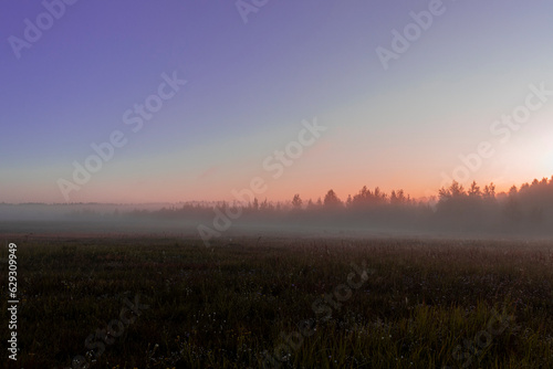 sunrise in the morning © сергей гришин