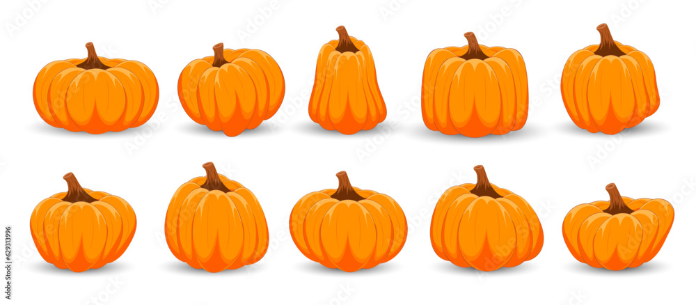 Set of orange pumpkins on white background. Happy Halloween. Thanksgiving day with orange pumpkin. Set of orange pumpkins on white background. Happy Halloween. Thanksgiving day with orange pumpkin.