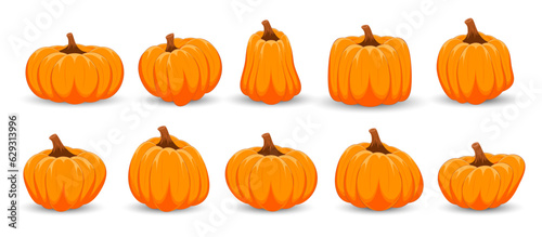 Set of orange pumpkins on white background. Happy Halloween. Thanksgiving day with orange pumpkin.