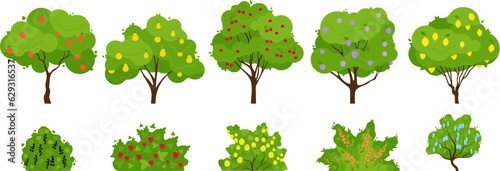 Fruit tree growing, trees with fruits and bush berries. Organic garden with apple, lemons and pears. Harvest time, gardening decent vector set