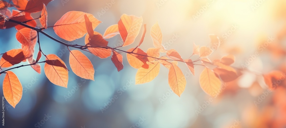 Autumn colorful leaves on the branch. Fall background. Autumn colorful leaves on the branch. Fall background.