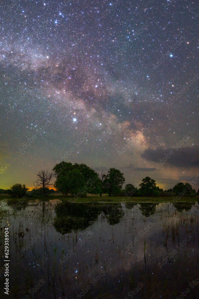 Starry night landscape Starry night landscape