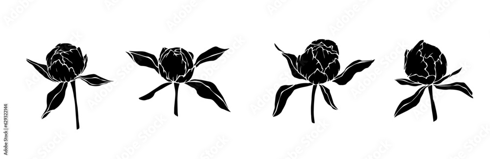 Obraz premium Set of silhouettes of peony flowers and buds.Vector graphics.