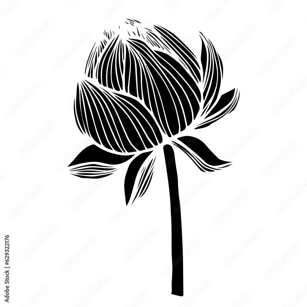 Vetor De Lotus Flower Silhouettevector Graphics Do Stock Adobe Stock 7784