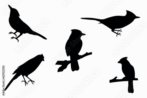 Wallpaper Mural cardinal bird logo design vector Torontodigital.ca