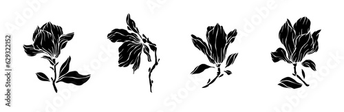 Set of silhouettes of magnolia flowers and buds.Vector graphics.