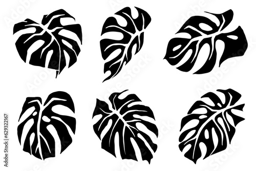  Monstera leaf silhouette set.Vector graphics.