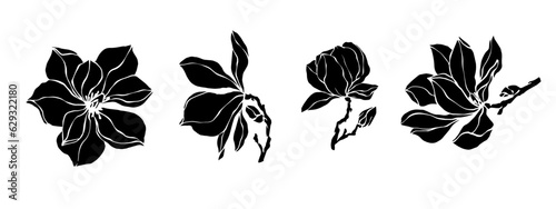 Set of silhouettes of magnolia flowers and buds.Vector graphics.