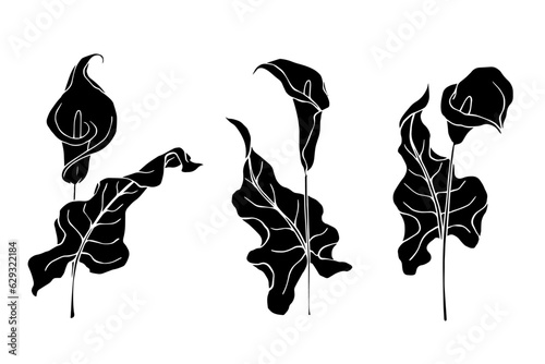 Set of silhouettes of calla flowers and leaves. Vector graphics.