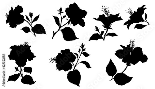 Set of silhouettes of hibiscus flowers and buds.Vector graphics.