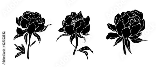Set of silhouettes of peony flowers and buds.Vector graphics.