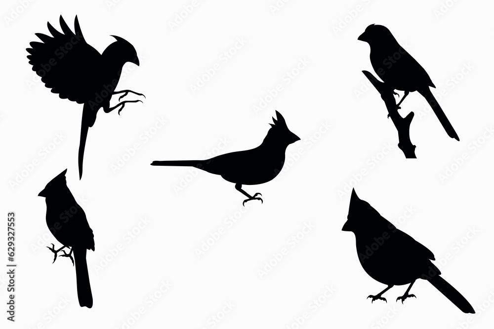 Set of Cardinal Bird black vector