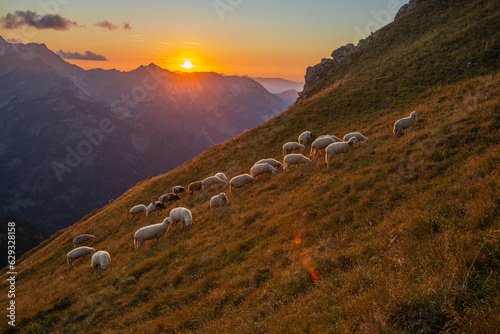 sunset in the mountains