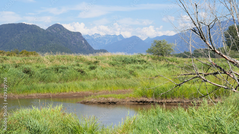 Beautiful view of the Pitt River Dyke near Grant Narrows Regional Park in Pitt Meadows, British Columbia, Canada Beautiful view of the Pitt River Dyke near Grant Narrows Regional Park in Pitt Meadows, British Columbia, Canada