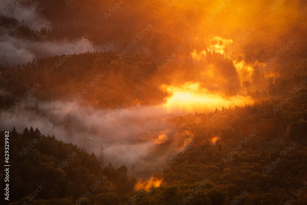 The setting sun's light really makes the rising steam burn in the Waldprechtstal in the Black Forest