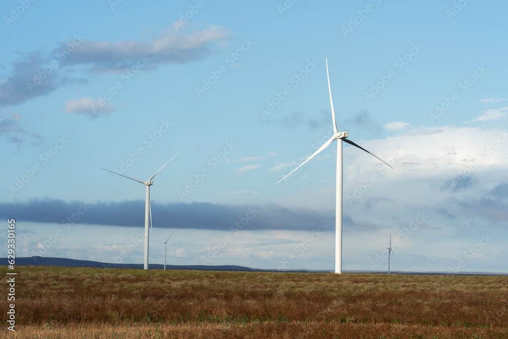 View of a wind farm to generate electricity. The concept of green energy, ecology, care for nature. View of a wind farm to generate electricity. The concept of green energy, ecology, care for nature.