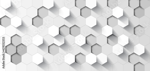 abstract 3D white hexagonal vector, polygon 3D background.