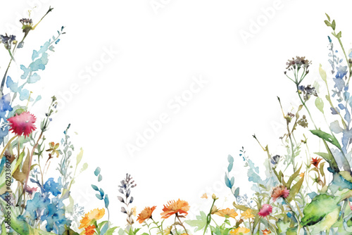 captivating watercolor border frame with different flowers and plants  isolated against transparent background