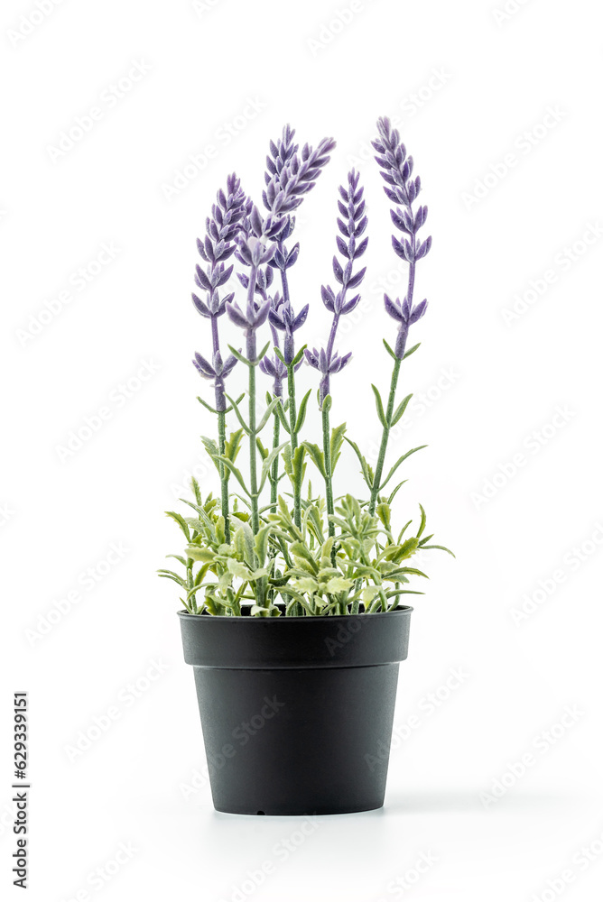 Artificial flower in flower pot isolated on white background. Artificial plastic house plant Artificial flower in flower pot isolated on white background. Artificial plastic house plant