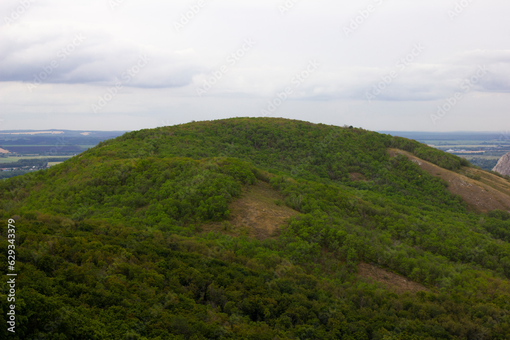 The green top of a low mountain, overgrown with forest. Mixed tree species. Summer, Bashkiria, Russia