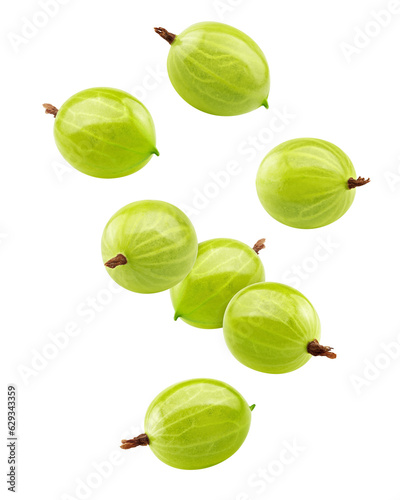 Falling Gooseberry isolated on white background, full depth of field