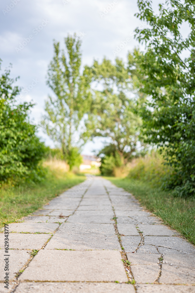 Chodnik z kamiennych płytek na obszarach zielonych w zachodniej Polsce