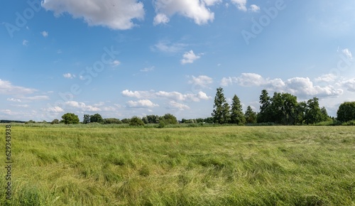 krajobraz szerokiej łąki latem, panorama zielonych terenów w zachodniej Polsce 