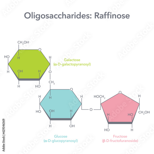 Raffinose molecular structure vector illustration diagram photo