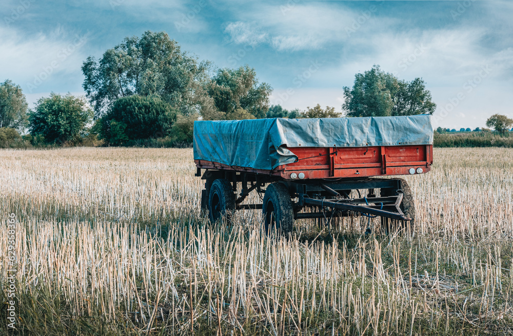 Fototapeta premium old trailer standing in a field 