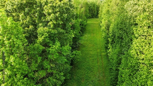 background of grass