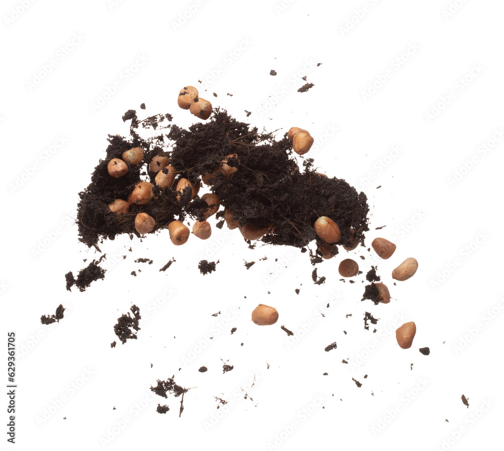 Soil dirt peanut bean mix fall fly explosion. Peanut bean soil