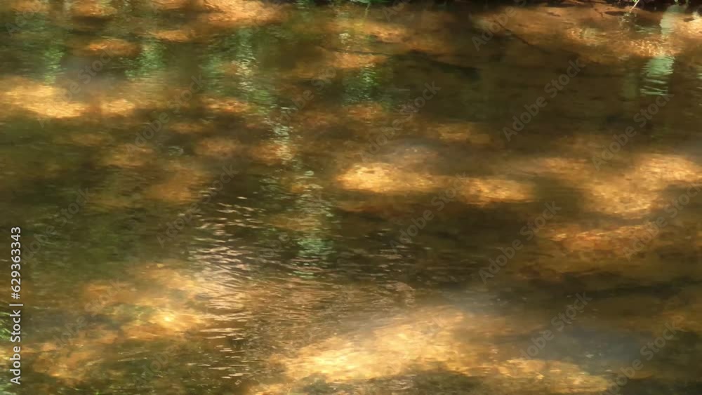 Relax nature scene. Tranquil Water stream. Relax nature scene. Tranquil Water stream.