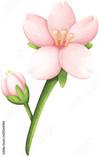 Pink Flowers  Spring_Flower Elements 3 