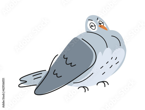 Funny outline dove. Angry disgruntled urban pigeon in doodle style. Outline drawing with cute feathered bird for wrap design. Cartoon flat vector illustration isolated on white background