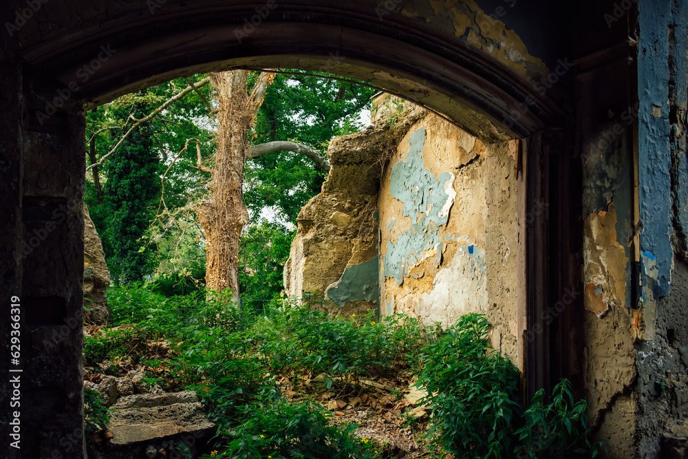 Fototapeta premium The ruined walls of an old building covered with green grass. The image of desolation and the forces of nature
