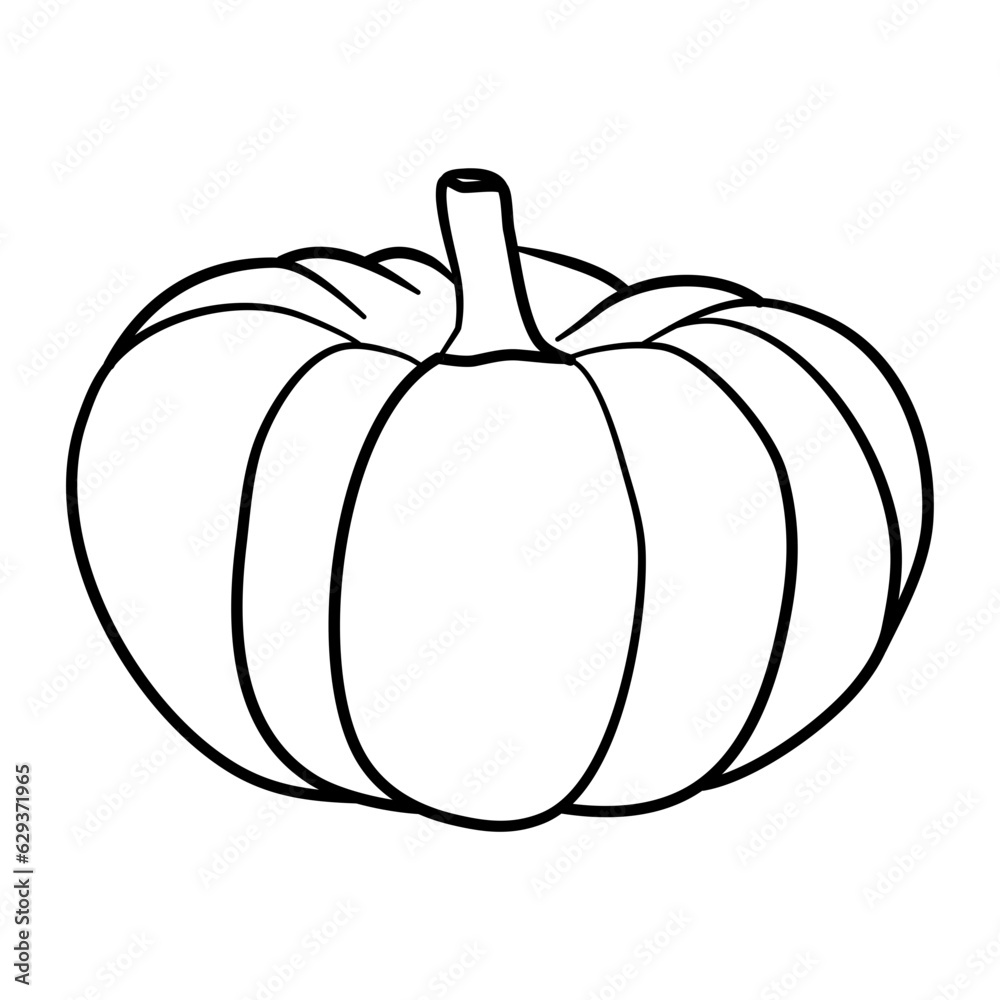 pumpkin line art vector autumn illustration pumpkin line art vector autumn illustration