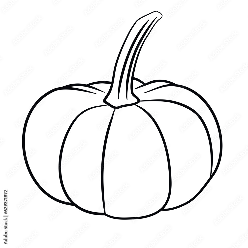 pumpkin line art vector fall illustration pumpkin line art vector fall illustration