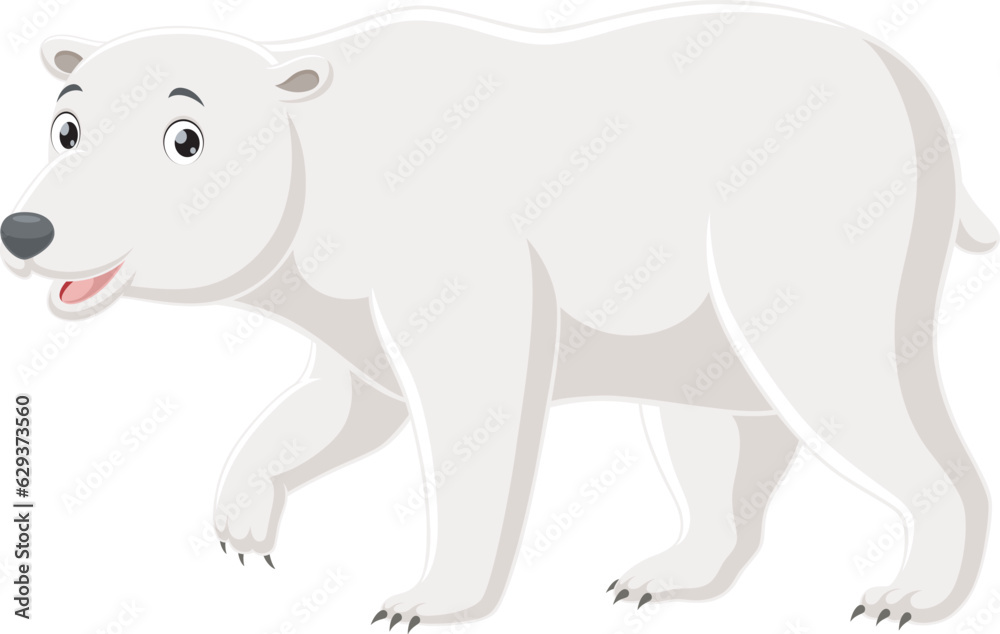 Cute polar bear isolated on white background