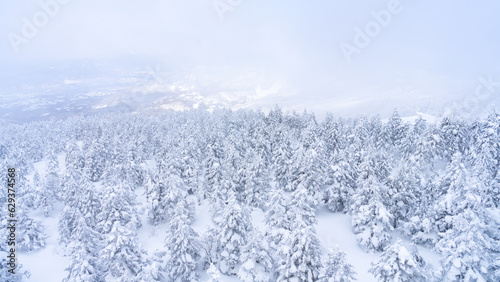 Drone Aerial view landscape beautiful nature of snowy mountain with pine tree forest covered in snow in cloudy day. Season change, winter sport, ski resort tourism and holiday travel vacation concept.